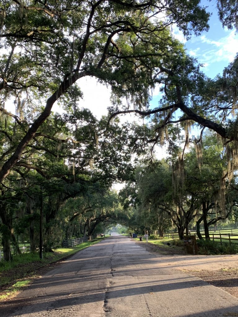 Sarasota, Florida Fence Company