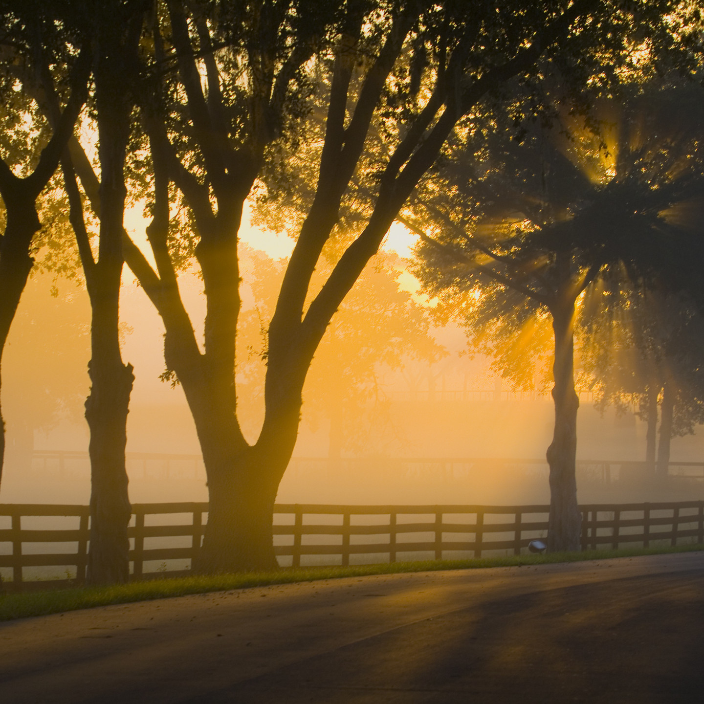 shutterstock_1953205_1633980807_e1762cfe0c73f87acff1354202e9244643